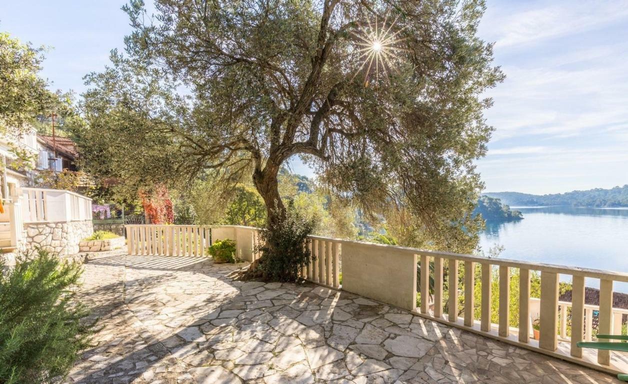 Apartamento Pansion Mali Raj Goveđari Exterior foto